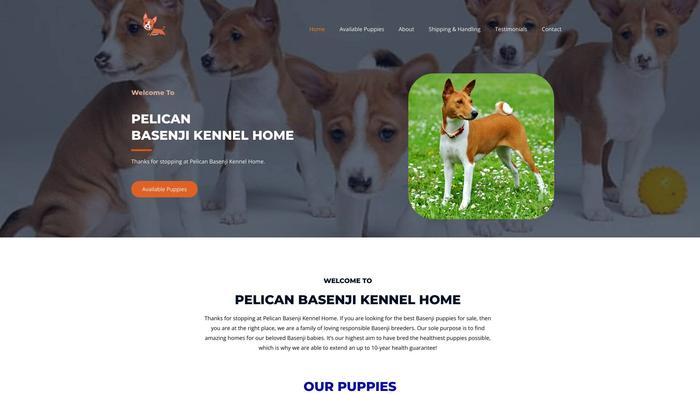 Pelicansbasenjikennelhome.com - Basenji Puppy Scam Review