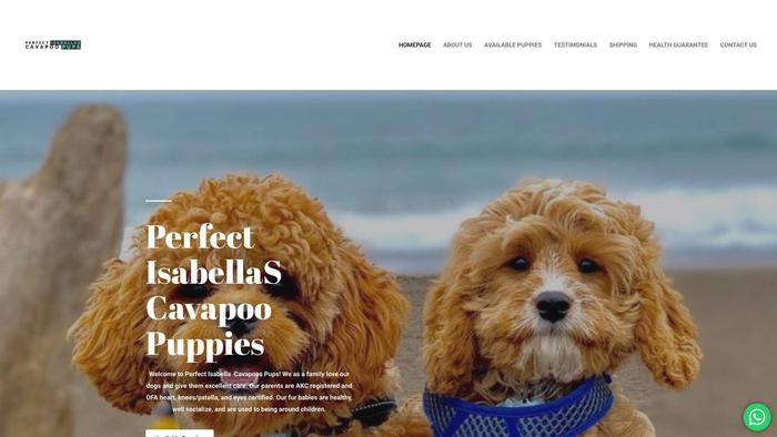 Perfectisabellascavapoopups.com - Cavapoo Puppy Scam Review