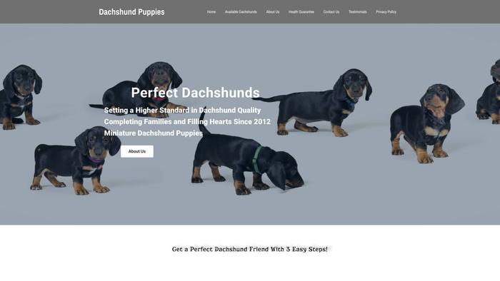 Perfectpets-dachshunds.com - Dachshund Puppy Scam Review