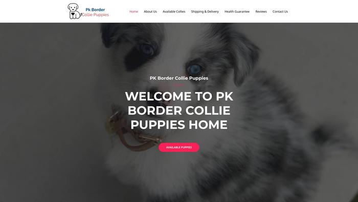 Pkbordercolliepuppies.com - Bordercollie Puppy Scam Review