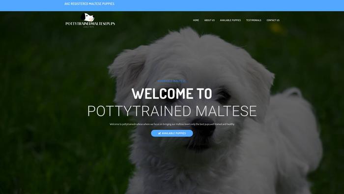 Pottytrainedmaltesepups.com - Maltese Puppy Scam Review