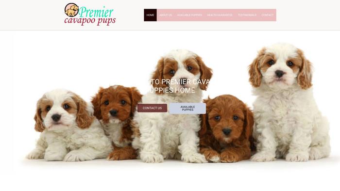 Premiercavapoopuppies.us - Cavapoo Puppy Scam Review