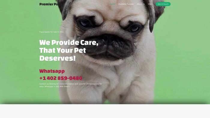 Premierpugpuppies.com - Pug Puppy Scam Review