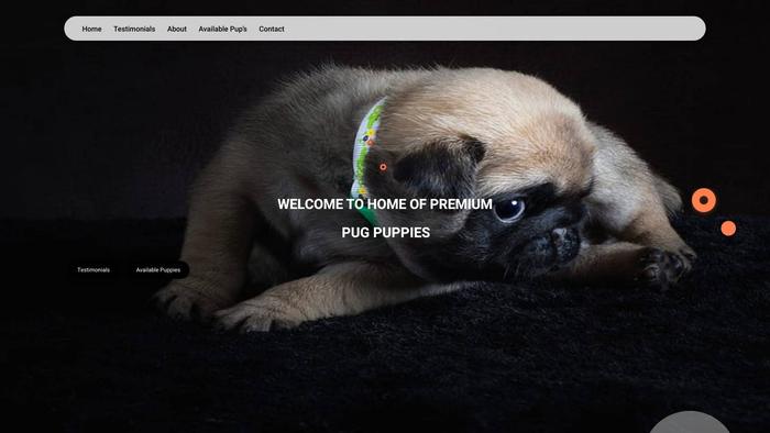 Premiumpuglovers.com - Pug Puppy Scam Review