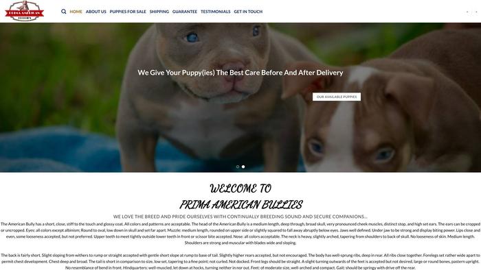 Primaamericanbullies.com - Pit Bull Puppy Scam Review