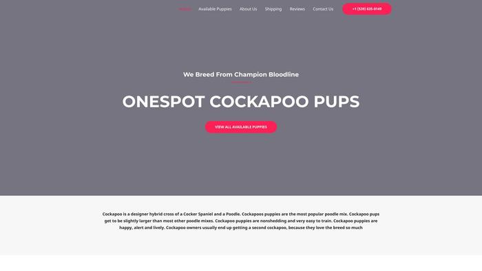 Primecockapoopups.com - Cockapoo Puppy Scam Review