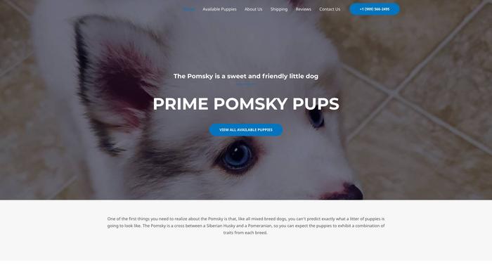 Primepomskypups.com - Pomeranian Puppy Scam Review