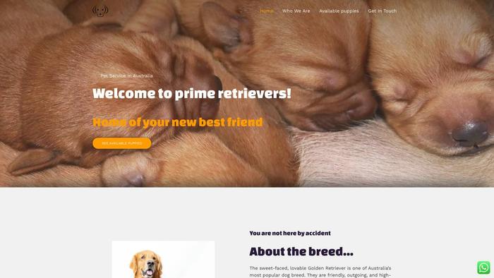 Primeretrieversau.com - Golden Retriever Puppy Scam Review