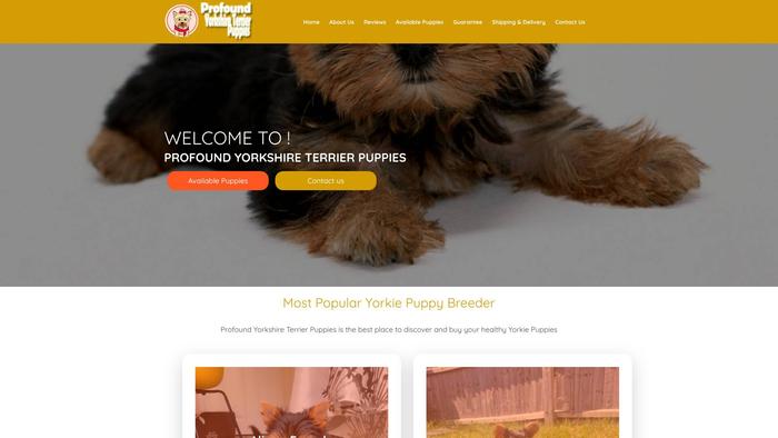 Profoundyorkshireterrierpuppies.com - Terrier Puppy Scam Review