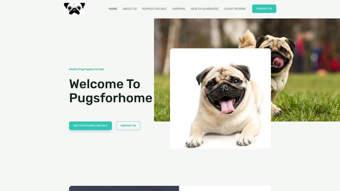 Pugsforhome.com - Pug Puppy Scam Review