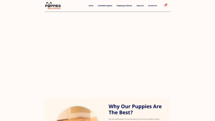 Puppiesmaltipoo.com - Maltipoo Puppy Scam Review