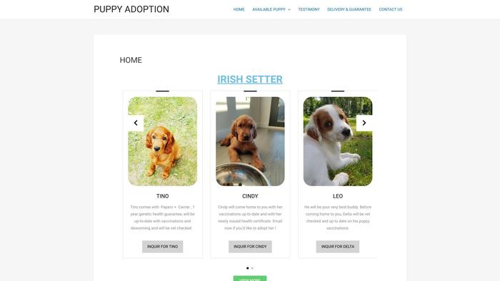 Puppyadoption.online - Spaniel Puppy Scam Review