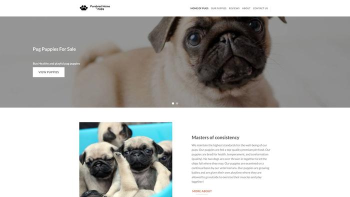 Purebredhomeofpugs.com - Pug Puppy Scam Review