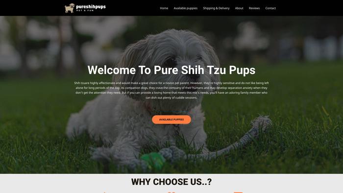 Pureshihpups.com - Shibhainu Puppy Scam Review