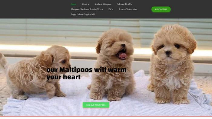 Qualityfamilydoodles.com - Labradoodle Puppy Scam Review