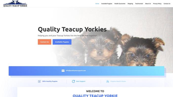 Qualityteacupyork.com - Yorkshire Terrier Puppy Scam Review