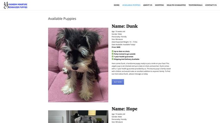 Rainbowminiatureschnauzerpuppies.com - Schnauzer Puppy Scam Review