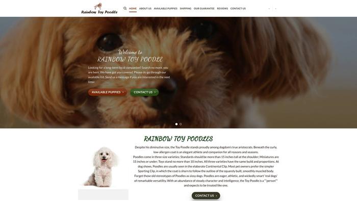 Rainbowtoypoodle.com - Poodle Puppy Scam Review