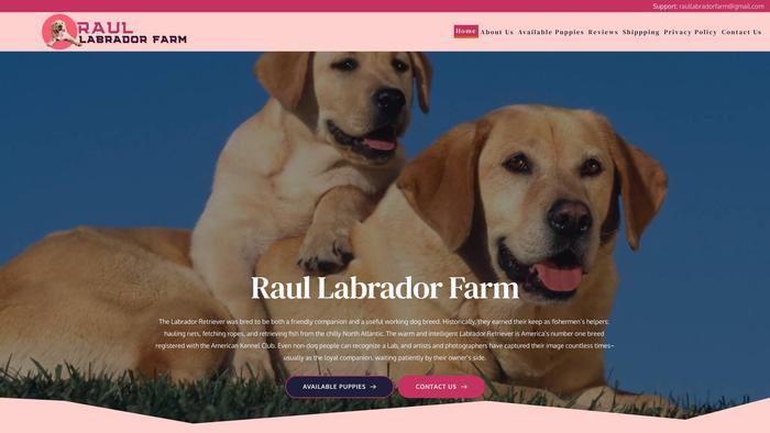 Raullabradorfarm.com - Labrador Puppy Scam Review