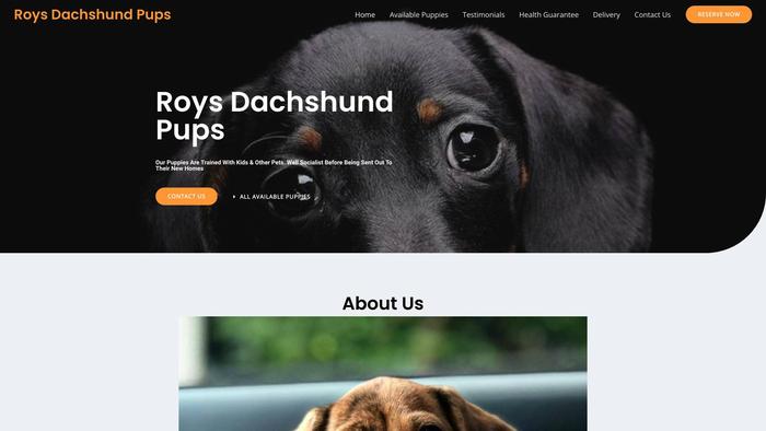 Roysdachshundpups.com - Dachshund Puppy Scam Review