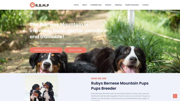 Rubysbernesemountainpups.com - Bernese Mountain Dog Puppy Scam Review