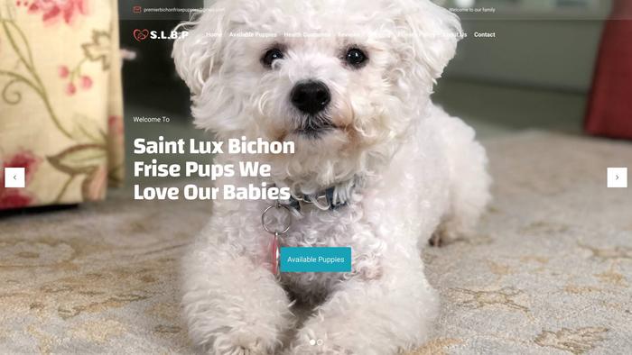 Saintluxbichonfrisepups.com - Bichon Frise Puppy Scam Review