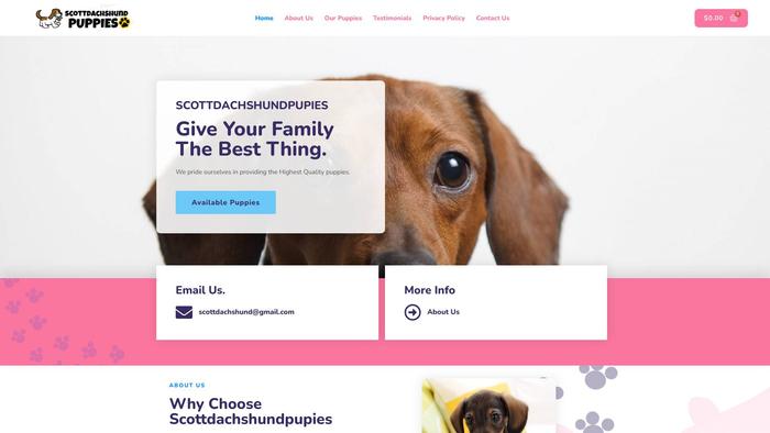 Scottdachshundpupies.com - Dachshund Puppy Scam Review