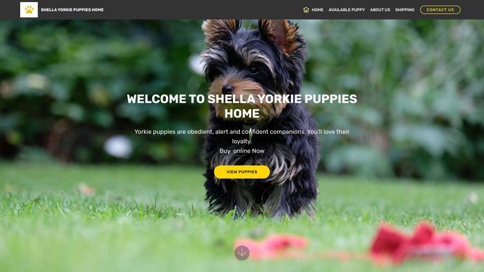 Shellayorkiepuppieshome.com - Yorkshire Terrier Puppy Scam Review