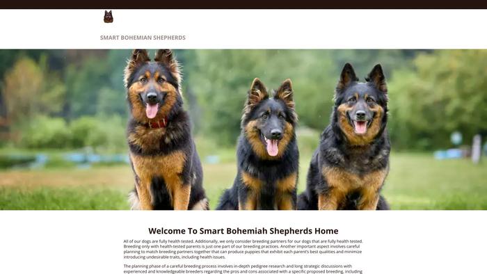 Smartbohmianshepherdpups.com - Germanshepherd Puppy Scam Review