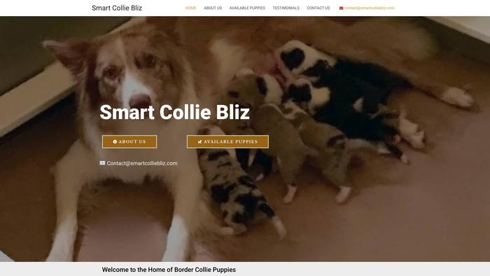 Smartcolliebliz.com - Bordercollie Puppy Scam Review