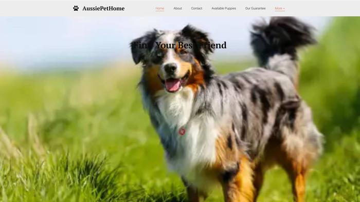 Smartriaussieshepherd.com - Australian Shepherd Puppy Scam Review