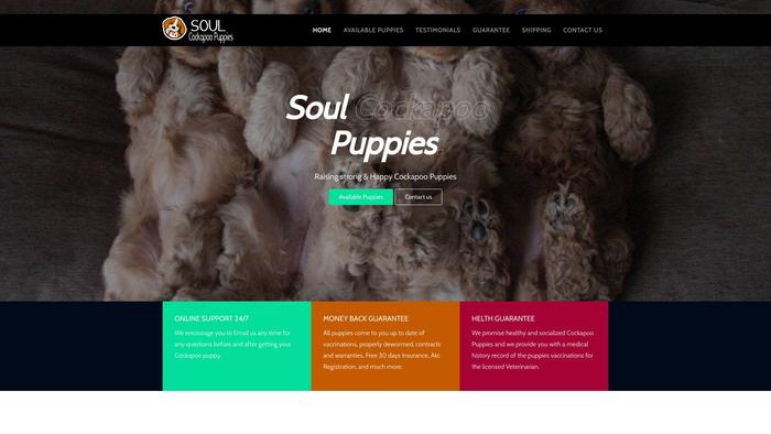 Soulcockapoopuppies.com - Cockapoo Puppy Scam Review