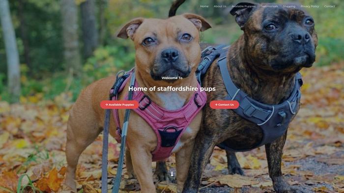 Staffordshirepups.com - Terrier Puppy Scam Review