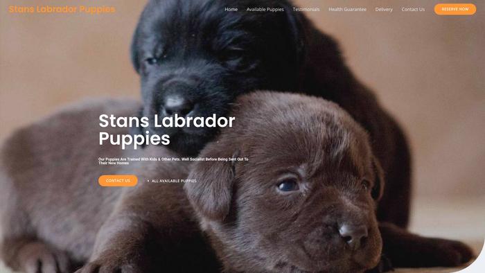 Stanslabradorpuppies.com - Labrador Puppy Scam Review