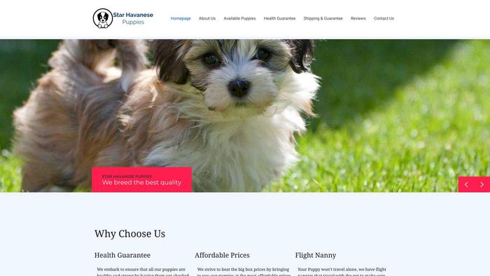 Starhavannesepuppies.com - Havanese Puppy Scam Review