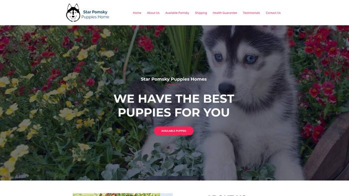 Starpomskypuppies.com - Pomeranian Puppy Scam Review