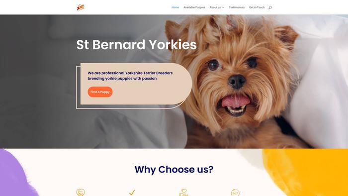 Stbernardyorkies.com - Saint Bernard Puppy Scam Review