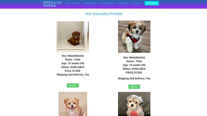 Steveanlizmaltesecrosspuppies.com - Maltese Puppy Scam Review