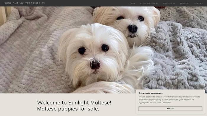 Sunlightmaltesepuppies.com - Maltese Puppy Scam Review