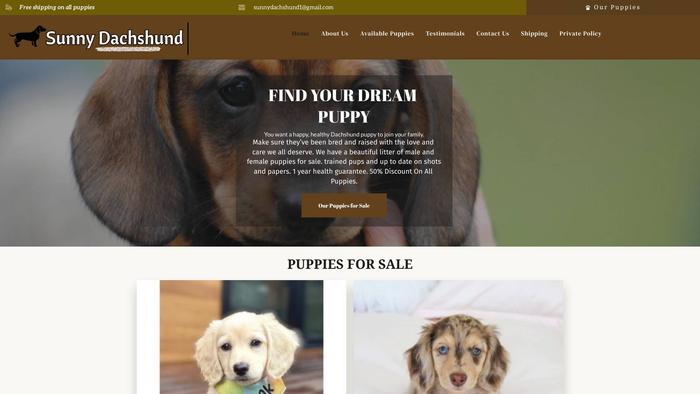 Sunnydachshund.com - Dachshund Puppy Scam Review