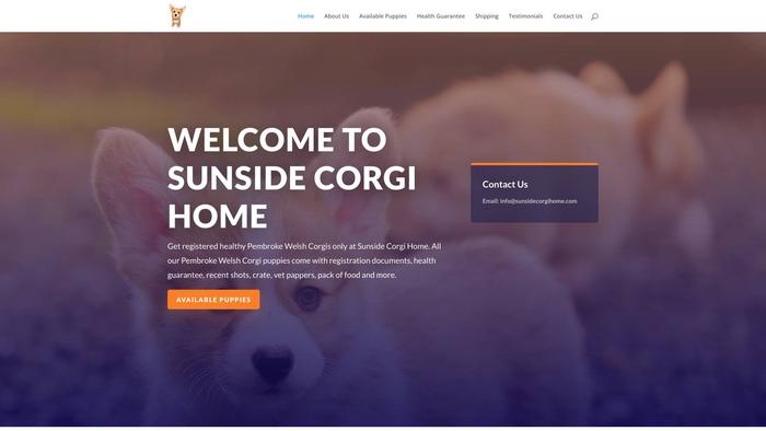 Sunsidecorgihome.com - Corgi Puppy Scam Review