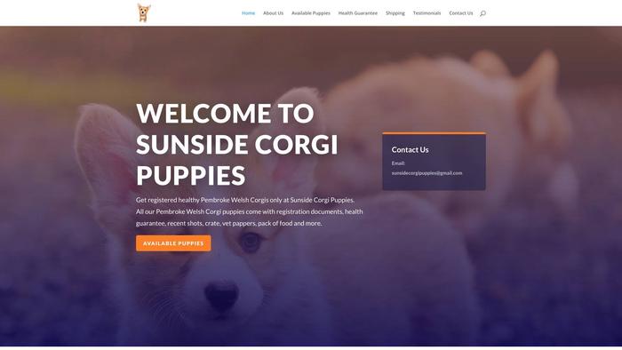 Sunsidecorgipuppies.com - Corgi Puppy Scam Review