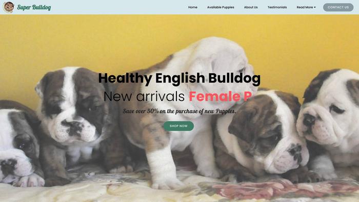 Superengbulls.com - English Bulldog Puppy Scam Review