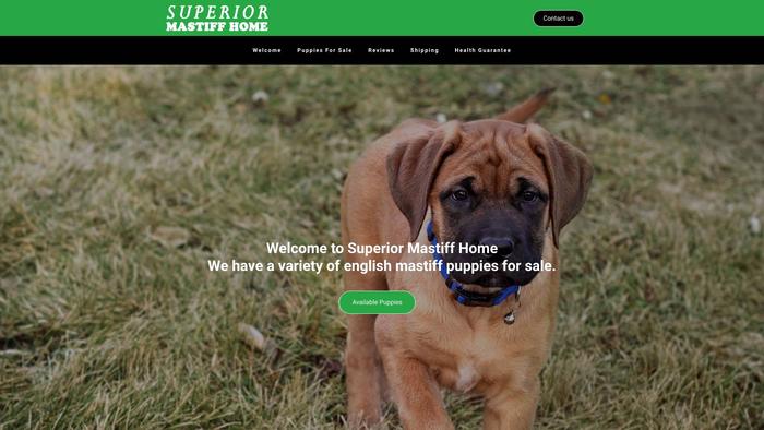 Superiormastiffhome.com - Tibetan Mastiff Puppy Scam Review