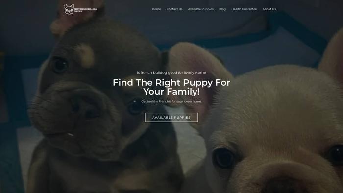 Terryfrenchbulldogpuppies.com - French Bulldog Puppy Scam Review