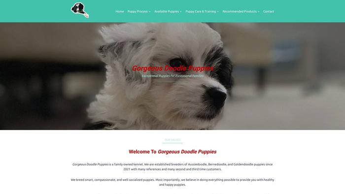 Thegorgeousdoodles.com - Golden Doodle Puppy Scam Review