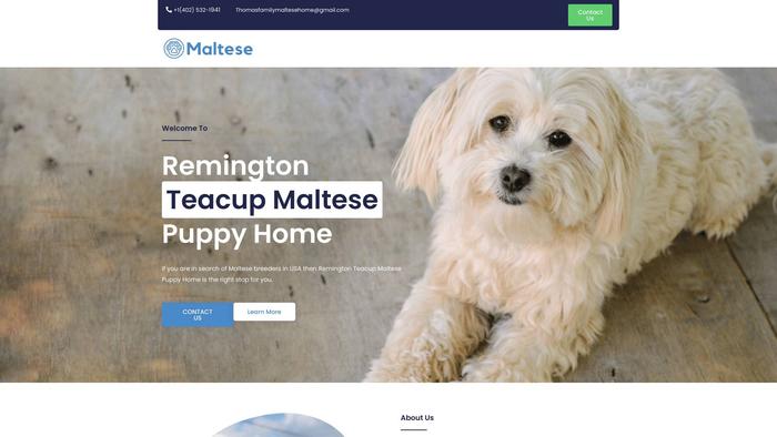 Thomasfamilymaltesehome.com - Maltese Puppy Scam Review