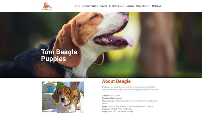 Tombeaglepuppies.com - Beagle Puppy Scam Review