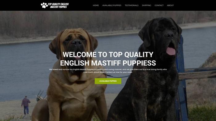 Topqualityenglishmastiffpuppies.com - Tibetan Mastiff Puppy Scam Review