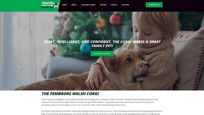 Trainedwelshcorgipups.com - Corgi Puppy Scam Review